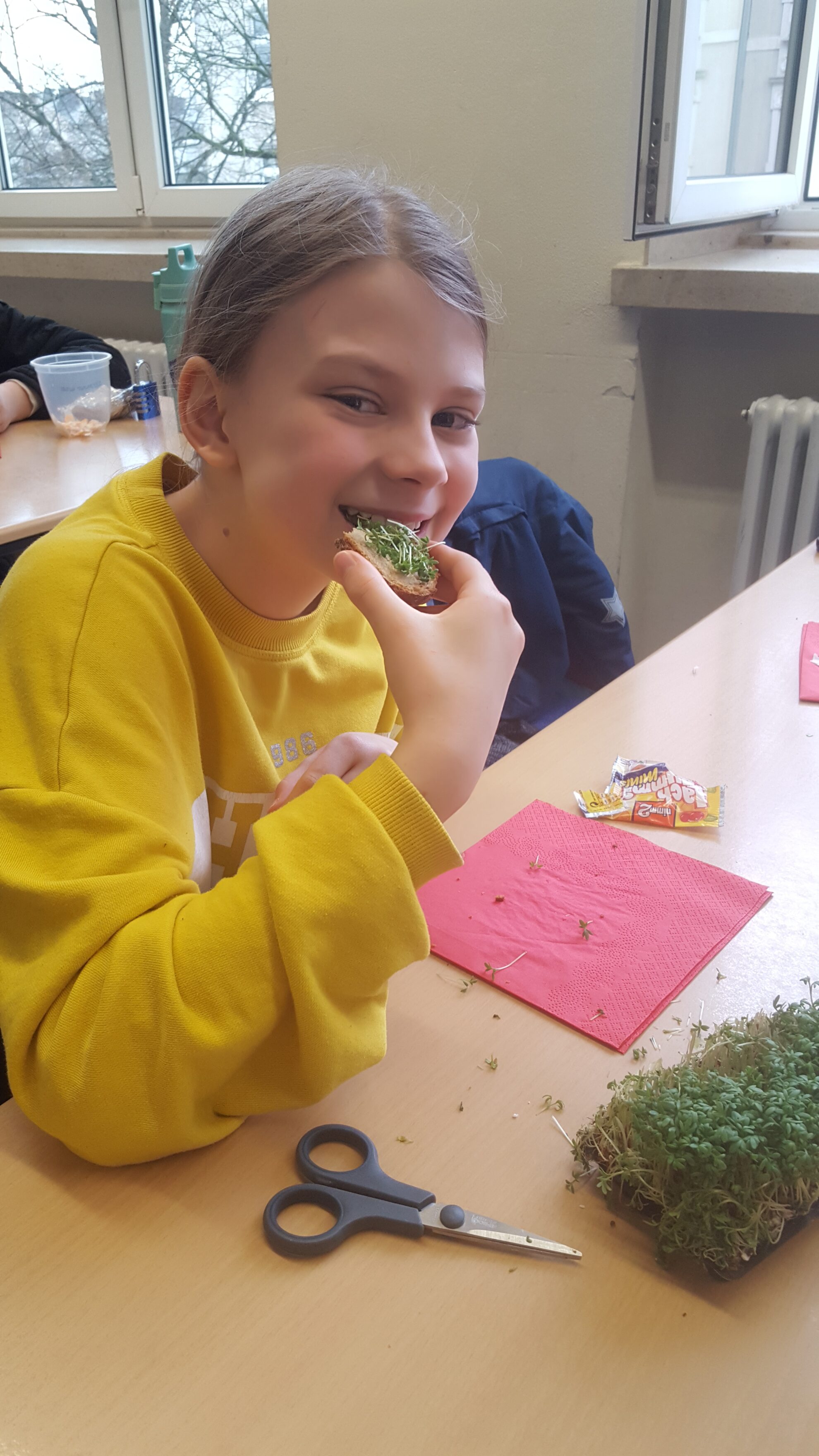 Frohe Ostern! – Schiller-Gymnasium Hof
